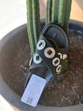 Outlaw Buckle Sandal - Black