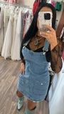 Country Fields Denim Overall Dress