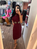 Burgundy Ribbed Turtle Neck Dress