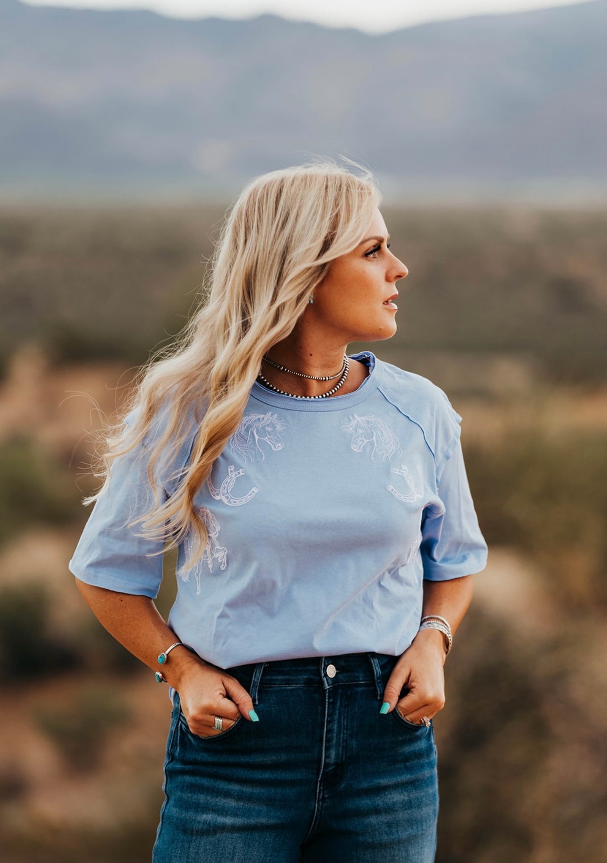 Light Blue Embroidered Top