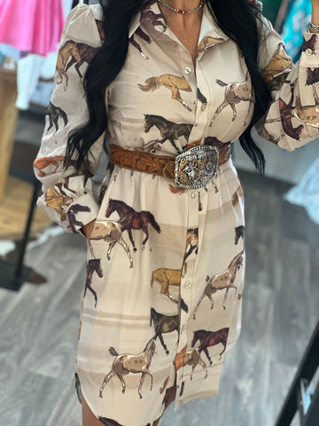 Mustang Meadows Dress