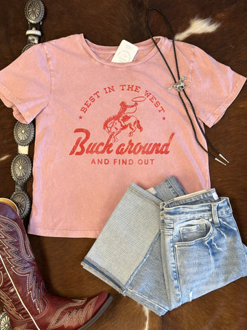 Buck Around and Find Out Tee