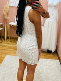 Olivia Lace Ivory Dress